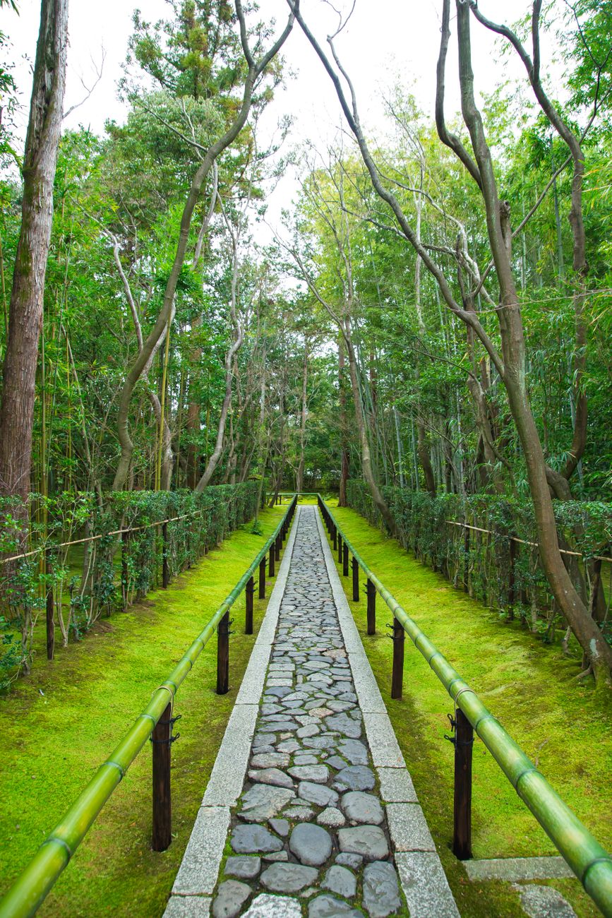 Kyoto bamboo forest pathway