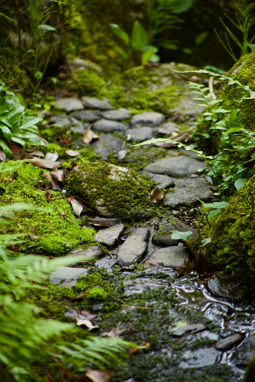 Traditional Kyoto teahouse garden